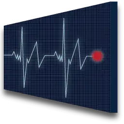 Arrhythmia Course